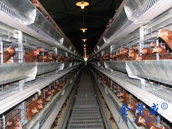 �ӯBʽ�B(y��ng)�u�O(sh��)��-���u