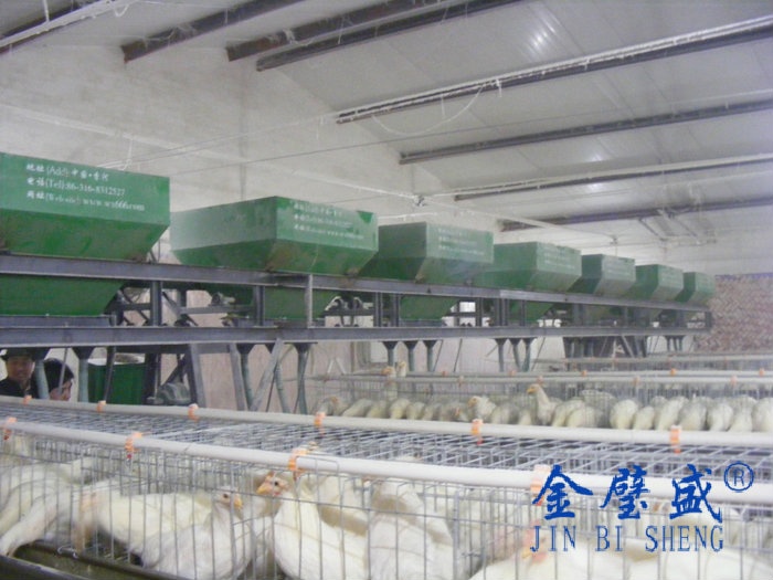 �A��ʽ�B(y��ng)�u�O(sh��)��-���u