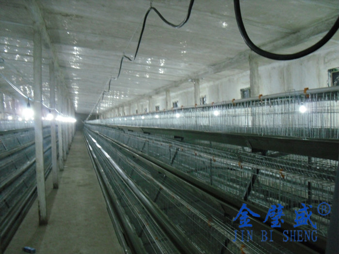 �A��ʽ�B(y��ng)�u�O(sh��)��-���u