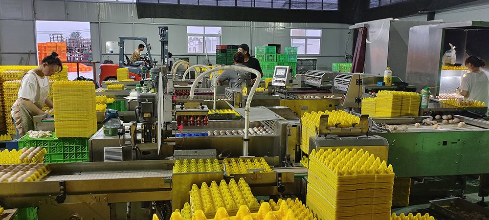 ���Pʽ�ּ��b�м���ÿ