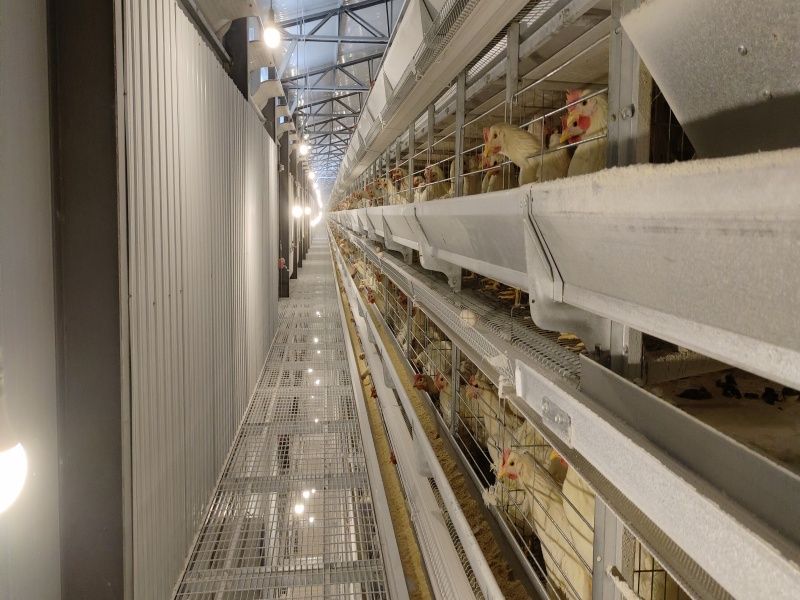 �ӯBʽ�B(y��ng)�u�O(sh��)��-���u5